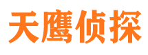 崇安市侦探公司